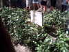 20120122074048-PICT0046.JPG