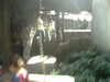 20120122074138-PICT0048.JPG