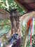 20120122101500-DSCF8733.JPG