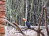20120122103012-DSCF8734.JPG