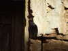 20120122103821-DSCF8738.JPG