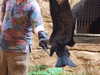 20120122104734-DSCF8741.JPG