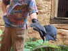 20120122104744-DSCF8742.JPG