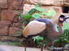 20120122105029-DSCF8744.JPG