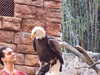 20120122105217-DSCF8749.JPG
