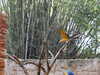 20120122105405-DSCF8751.JPG