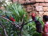 20120122105417-DSCF8753.JPG