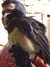20120122105523-DSCF8756.JPG