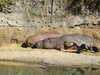 20120122111446-DSCF8758.JPG