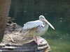 20120122111522-DSCF8760.JPG