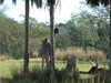20120122112225-DSCF8765.JPG