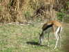 20120122112243-DSCF8766.JPG