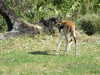 20120122112247-DSCF8767.JPG