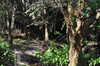 20120122133319-DSC_0547.JPG