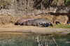 20120122133408-DSC_0550.JPG