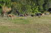 20120122134203-DSC_0570.JPG