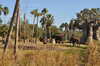 20120122134514-DSC_0577.JPG