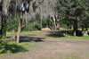 20120122135137-DSC_0593.JPG