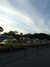 20120122173612-DSCF8772.JPG