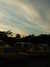 20120122173626-DSCF8774.JPG