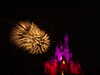 20120122200235-DSCF8813.JPG