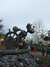 20120123105032-DSCF8840.JPG