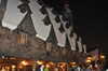 20120123210628-DSC_0726.JPG