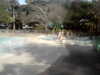 20120124101753-PICT0005.JPG
