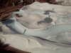 20120124103019-PICT0008.JPG