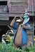20120124104602-DSC_0775.JPG