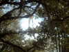 20120124105212-PICT0023.JPG