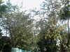 20120124110451-PICT0027.JPG