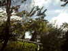 20120124110500-PICT0028.JPG