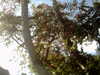 20120124110517-PICT0029.JPG