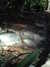 20120124110748-PICT0030.JPG