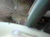 20120124114922-PICT0031.JPG