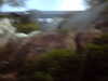 20120124131911-PICT0037.JPG