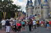 20120124164042-DSC_0741.JPG