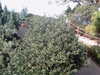 20120125111726-PICT0012.JPG