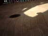 20120125123826-PICT0039.JPG