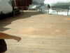 20120125124038-PICT0044.JPG
