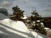 20120125124102-PICT0045.JPG