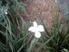 20120125124204-PICT0049.JPG