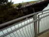 20120125124357-PICT0056.JPG