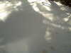 20120125125216-PICT0059.JPG