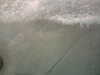 20120125130026-PICT0067.JPG