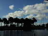 20120126105410-DSCF8862.JPG