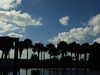 20120126105417-DSCF8863.JPG