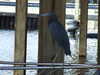 20120126105747-DSCF8868.JPG