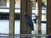 20120126105751-DSCF8869.JPG